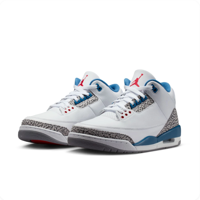 Air Jordan 3 White & Blue Sneakers with Elephant Print