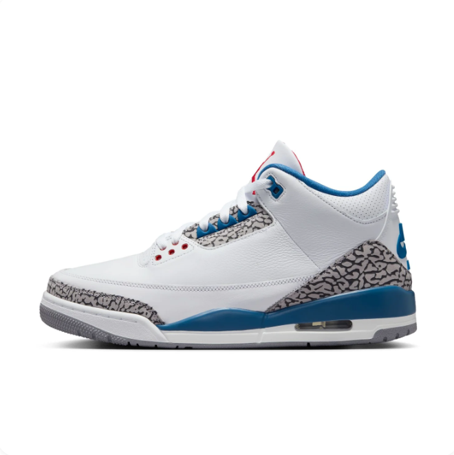 Air Jordan 3 White & Blue Sneakers with Elephant Print