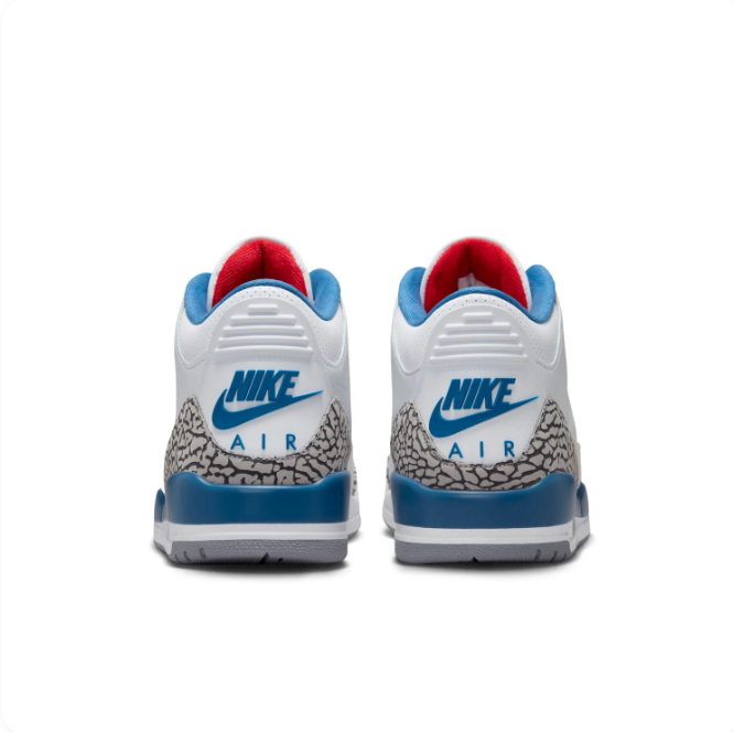 Air Jordan 3 White & Blue Sneakers with Elephant Print