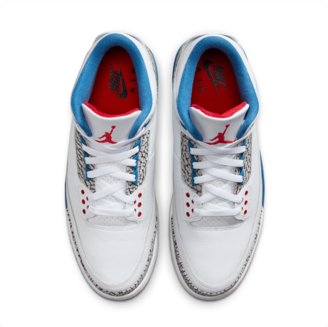 Air Jordan 3 White & Blue Sneakers with Elephant Print