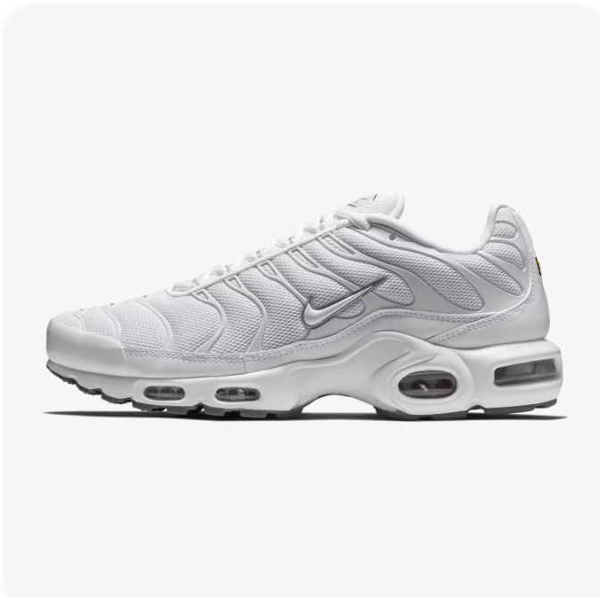 Nike Air Max Plus White & Silver Low-Top Sneakers