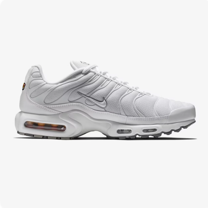 Nike Air Max Plus White & Silver Low-Top Sneakers