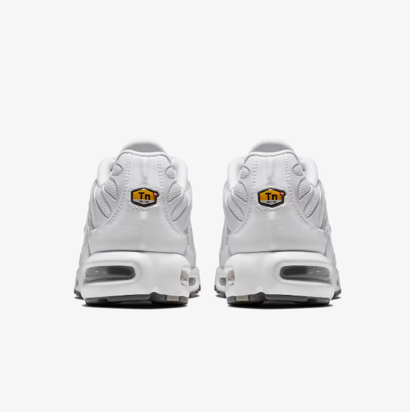 Nike Air Max Plus White & Silver Low-Top Sneakers